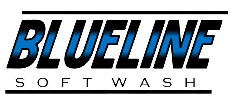 BlueLine Soft Wash logo3